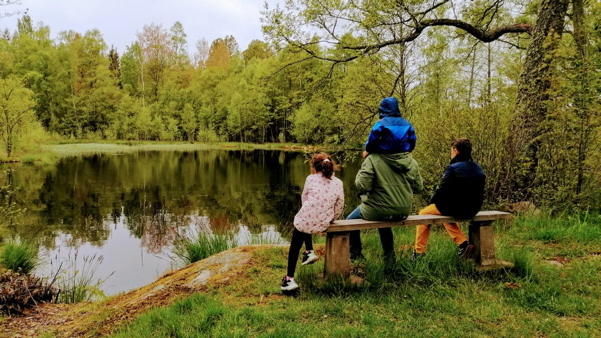 A family sits by a lake surrounded by lush green trees, reflecting a serene spring day.